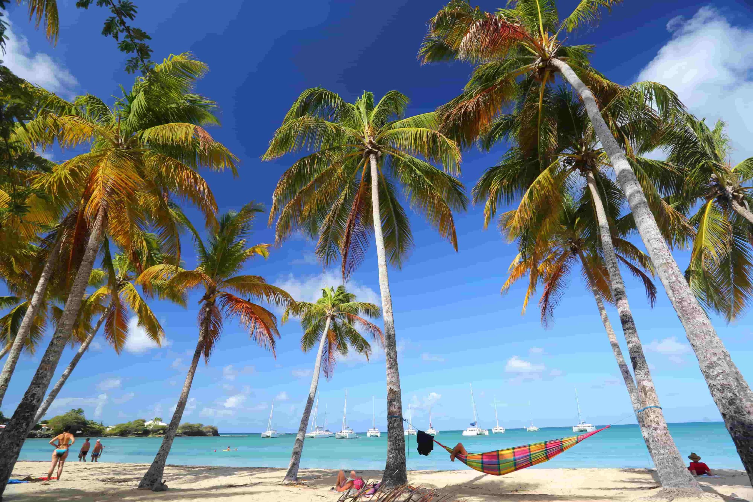 Ou dormir pour les vacances en Martinique?